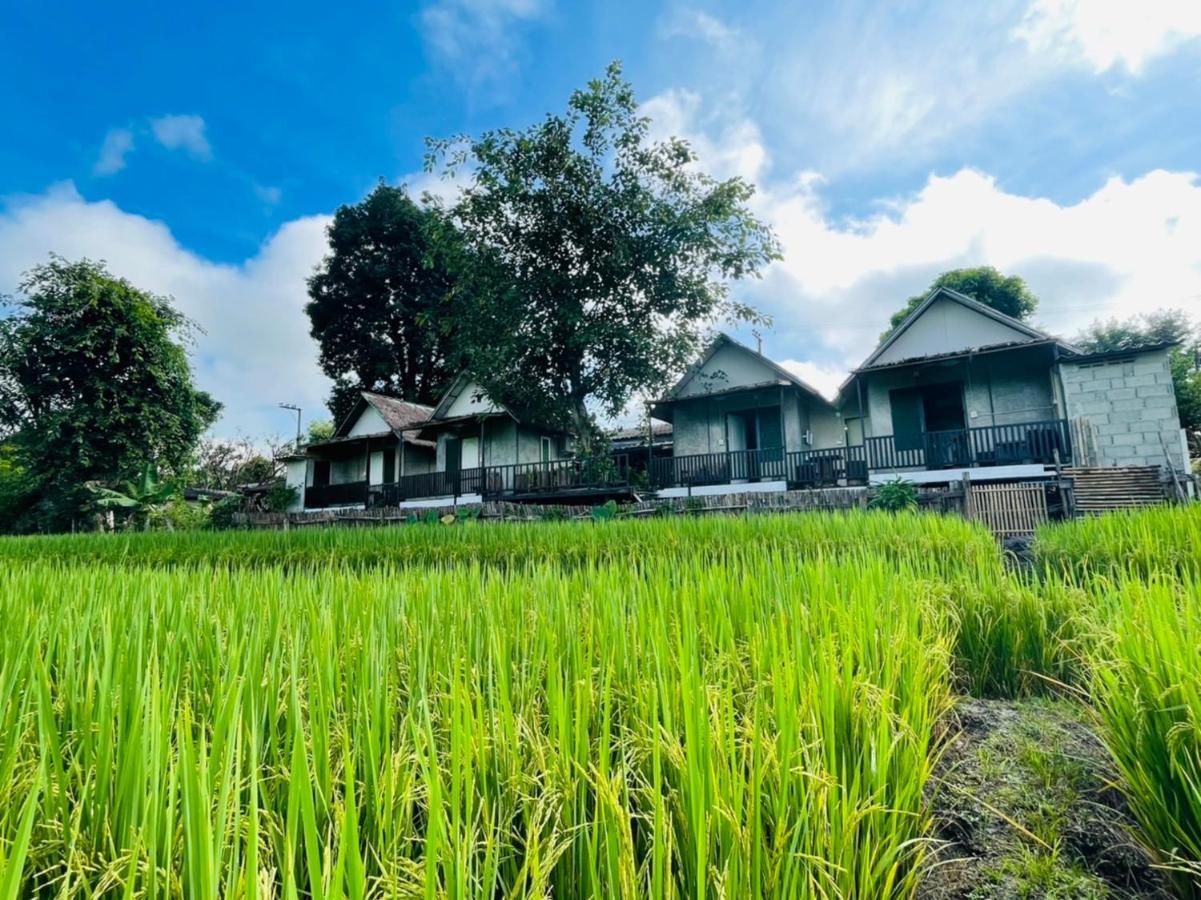 Krathom Doi Luang Hotel Chiang Dao Exterior photo